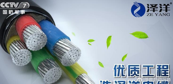 泽洋电缆亮相央视七套 借力国家平台，彰显品牌硬实力